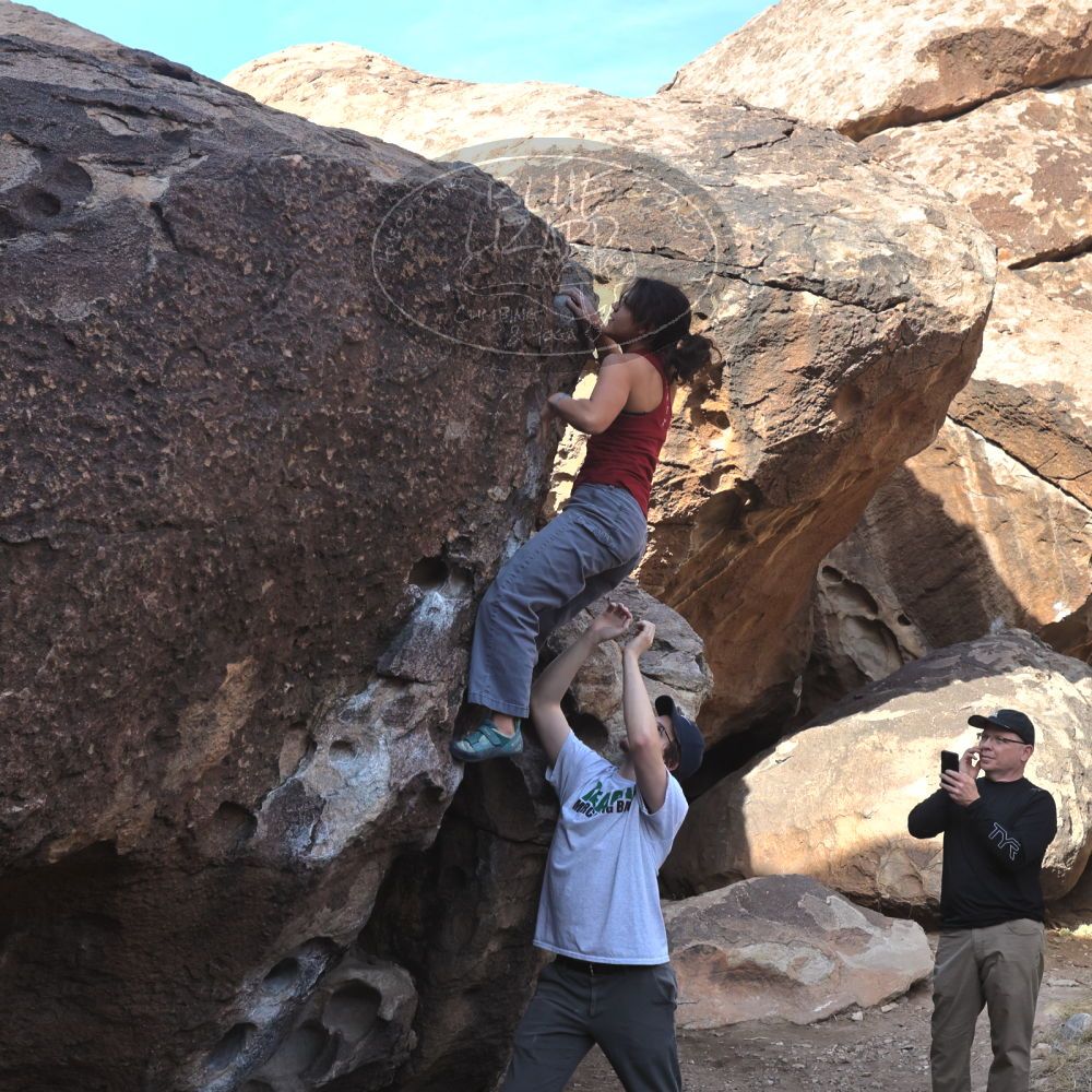 

Filename: SRM_20230224_0920520.jpg
Aperture: f/8.0
Shutter Speed: 1/320
Body: Canon EOS R6
Lens: Canon EF 16-35mm f/2.8 L