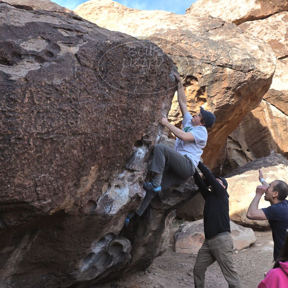 

Filename: SRM_20230224_0922150.jpg
Aperture: f/8.0
Shutter Speed: 1/320
Body: Canon EOS R6
Lens: Canon EF 16-35mm f/2.8 L