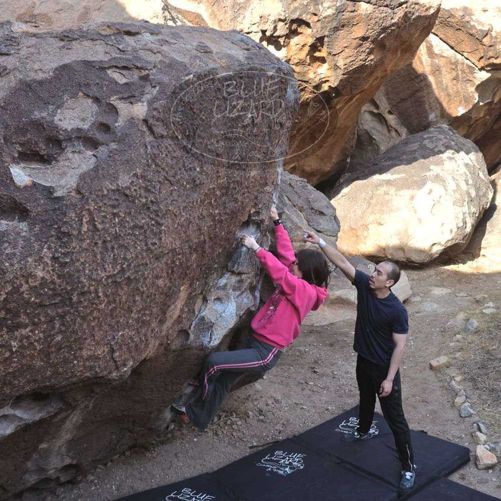 

Filename: SRM_20230224_0924220.jpg
Aperture: f/8.0
Shutter Speed: 1/320
Body: Canon EOS R6
Lens: Canon EF 16-35mm f/2.8 L