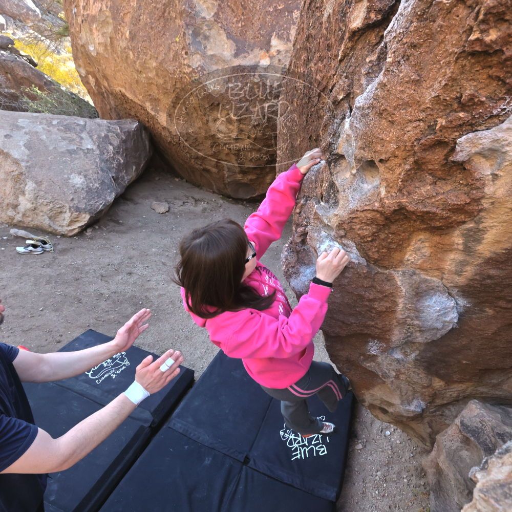 

Filename: SRM_20230224_0927320.jpg
Aperture: f/8.0
Shutter Speed: 1/320
Body: Canon EOS R6
Lens: Canon EF 16-35mm f/2.8 L