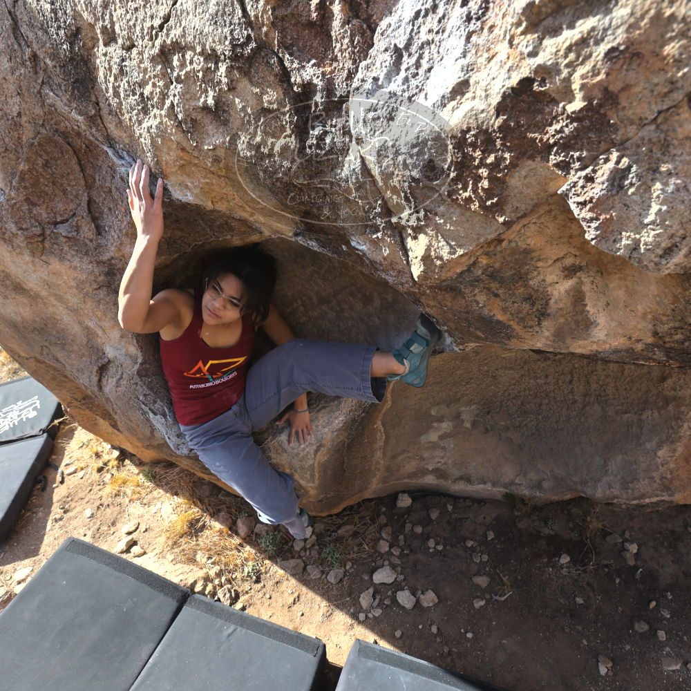 

Filename: SRM_20230224_0933580.jpg
Aperture: f/8.0
Shutter Speed: 1/320
Body: Canon EOS R6
Lens: Canon EF 16-35mm f/2.8 L