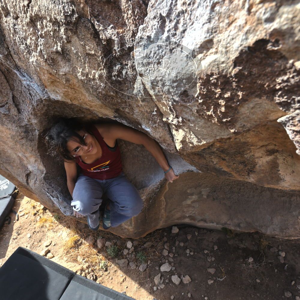 

Filename: SRM_20230224_0937340.jpg
Aperture: f/8.0
Shutter Speed: 1/320
Body: Canon EOS R6
Lens: Canon EF 16-35mm f/2.8 L