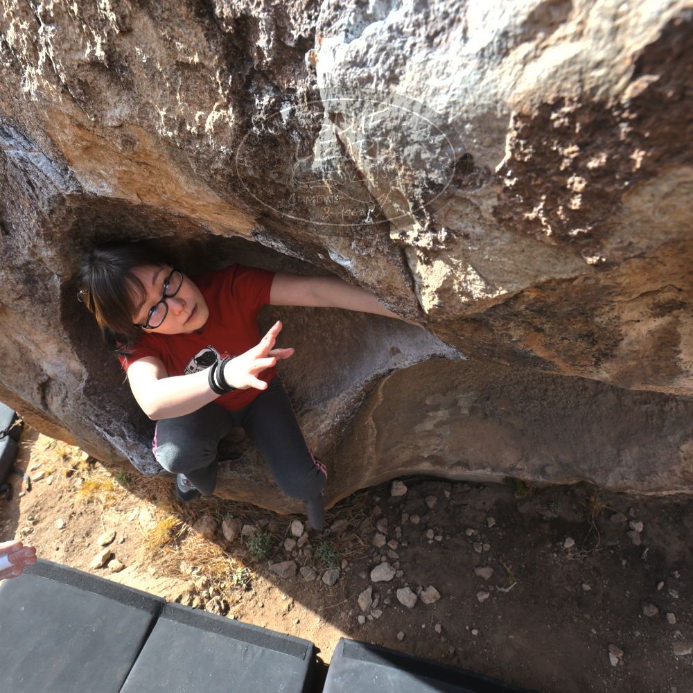 

Filename: SRM_20230224_0939370.jpg
Aperture: f/8.0
Shutter Speed: 1/320
Body: Canon EOS R6
Lens: Canon EF 16-35mm f/2.8 L