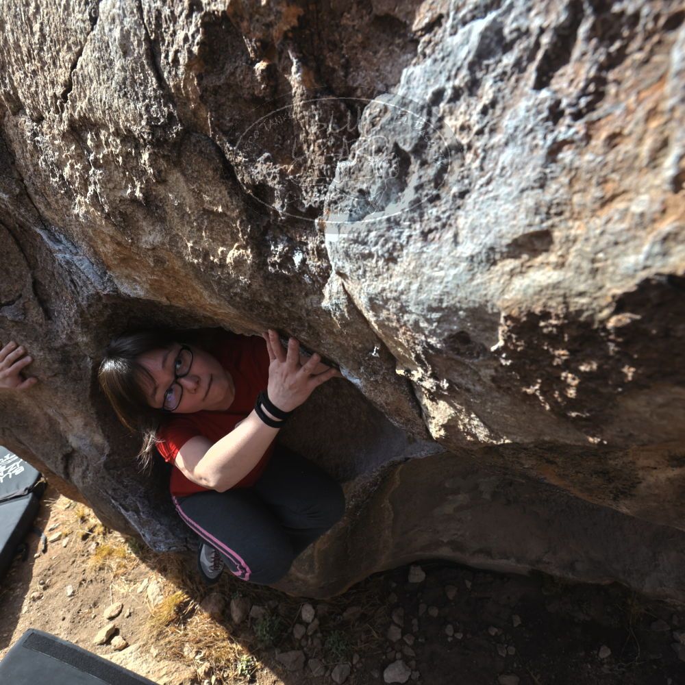 

Filename: SRM_20230224_0939530.jpg
Aperture: f/8.0
Shutter Speed: 1/320
Body: Canon EOS R6
Lens: Canon EF 16-35mm f/2.8 L