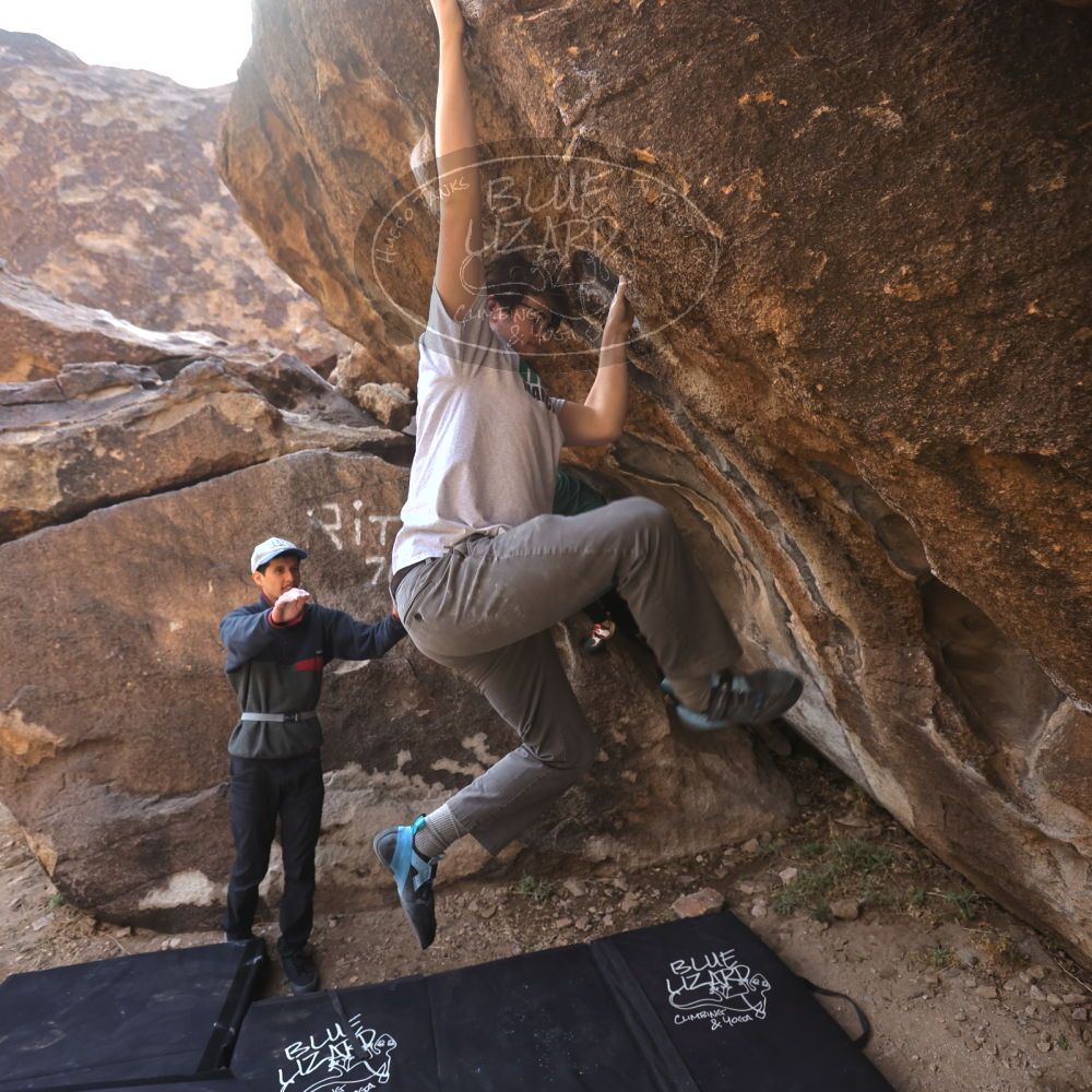 

Filename: SRM_20230224_0947571.jpg
Aperture: f/4.0
Shutter Speed: 1/250
Body: Canon EOS R6
Lens: Canon EF 16-35mm f/2.8 L