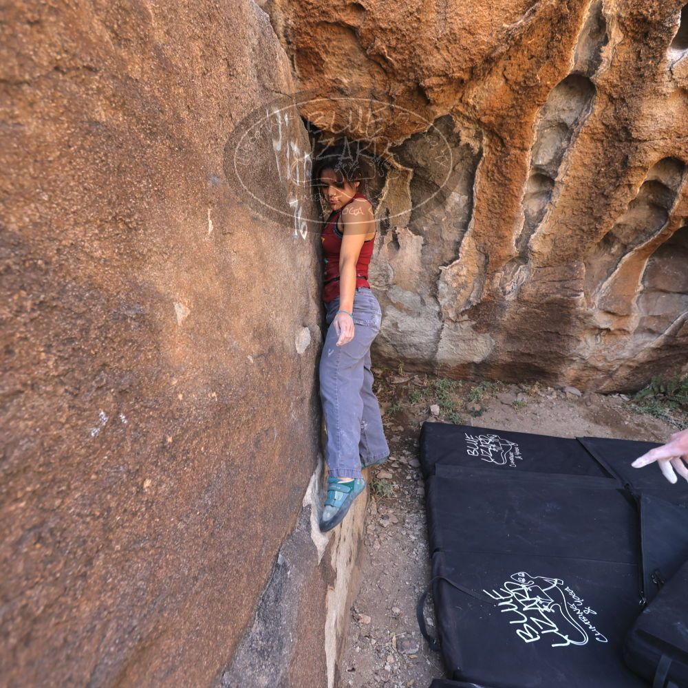 

Filename: SRM_20230224_0958040.jpg
Aperture: f/4.0
Shutter Speed: 1/250
Body: Canon EOS R6
Lens: Canon EF 16-35mm f/2.8 L