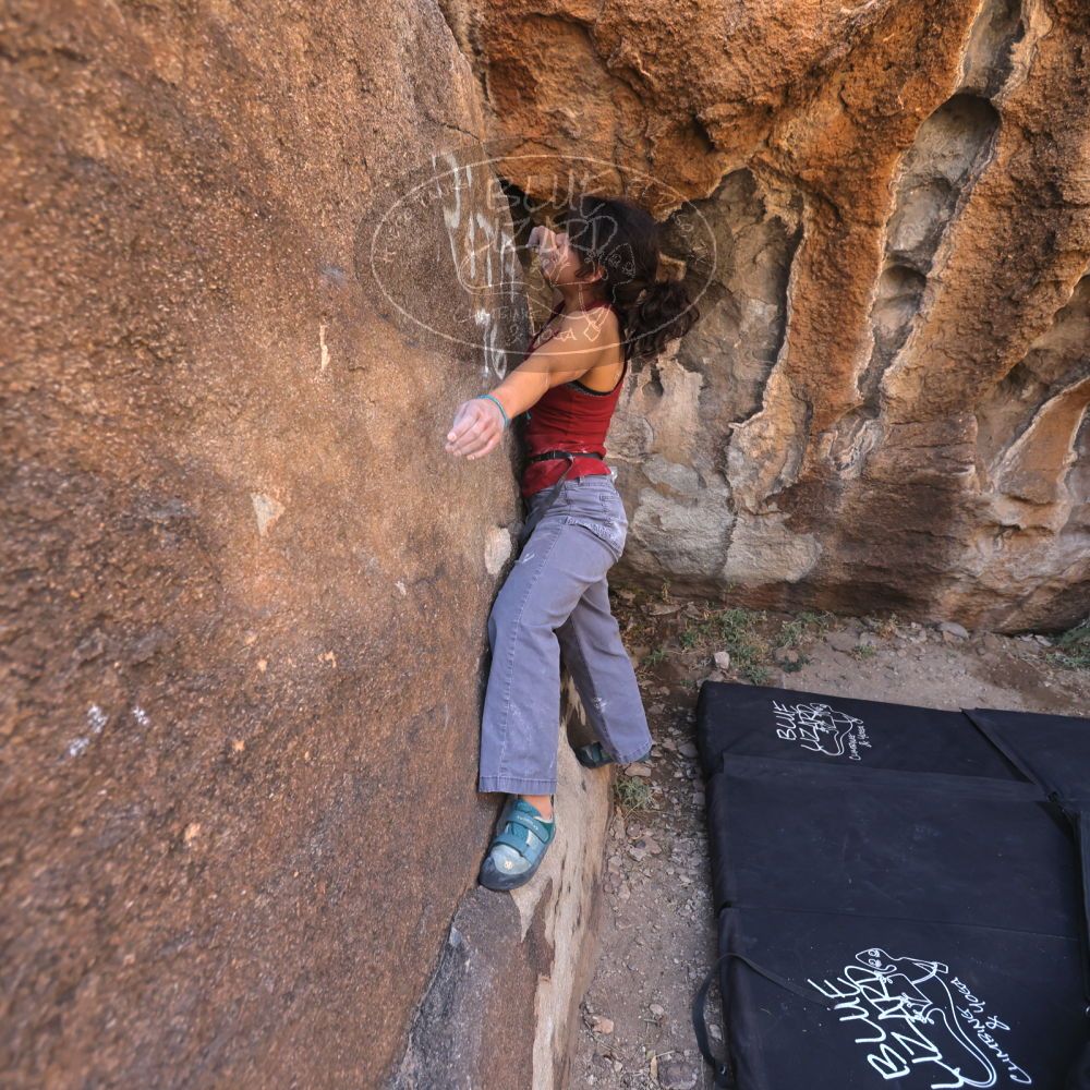 

Filename: SRM_20230224_0958110.jpg
Aperture: f/4.0
Shutter Speed: 1/250
Body: Canon EOS R6
Lens: Canon EF 16-35mm f/2.8 L