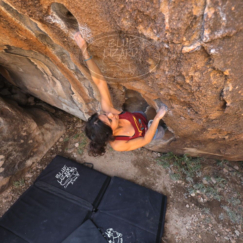 

Filename: SRM_20230224_1009381.jpg
Aperture: f/4.0
Shutter Speed: 1/250
Body: Canon EOS R6
Lens: Canon EF 16-35mm f/2.8 L