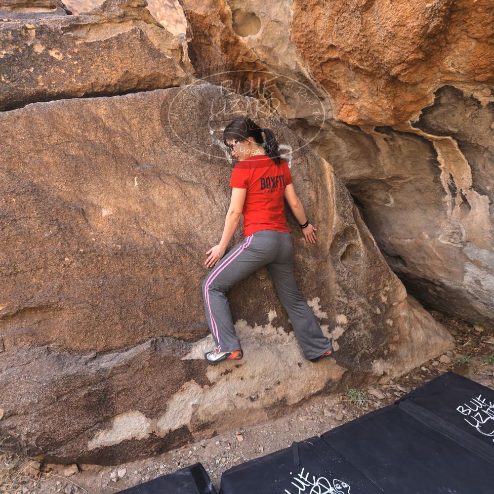 

Filename: SRM_20230224_1013470.jpg
Aperture: f/4.0
Shutter Speed: 1/250
Body: Canon EOS R6
Lens: Canon EF 16-35mm f/2.8 L