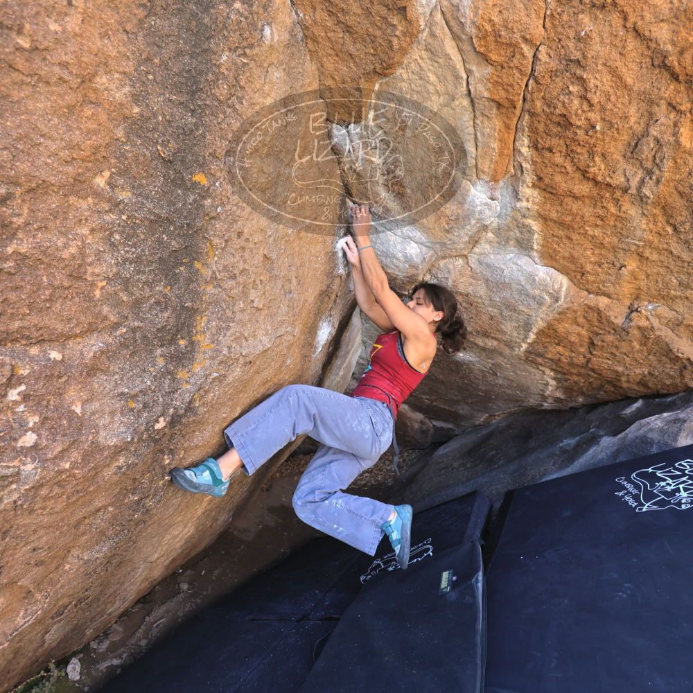 

Filename: SRM_20230224_1057410.jpg
Aperture: f/4.0
Shutter Speed: 1/250
Body: Canon EOS R6
Lens: Canon EF 16-35mm f/2.8 L