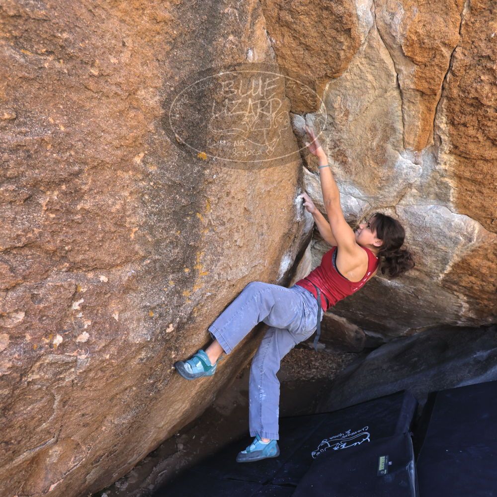 

Filename: SRM_20230224_1057420.jpg
Aperture: f/4.0
Shutter Speed: 1/250
Body: Canon EOS R6
Lens: Canon EF 16-35mm f/2.8 L