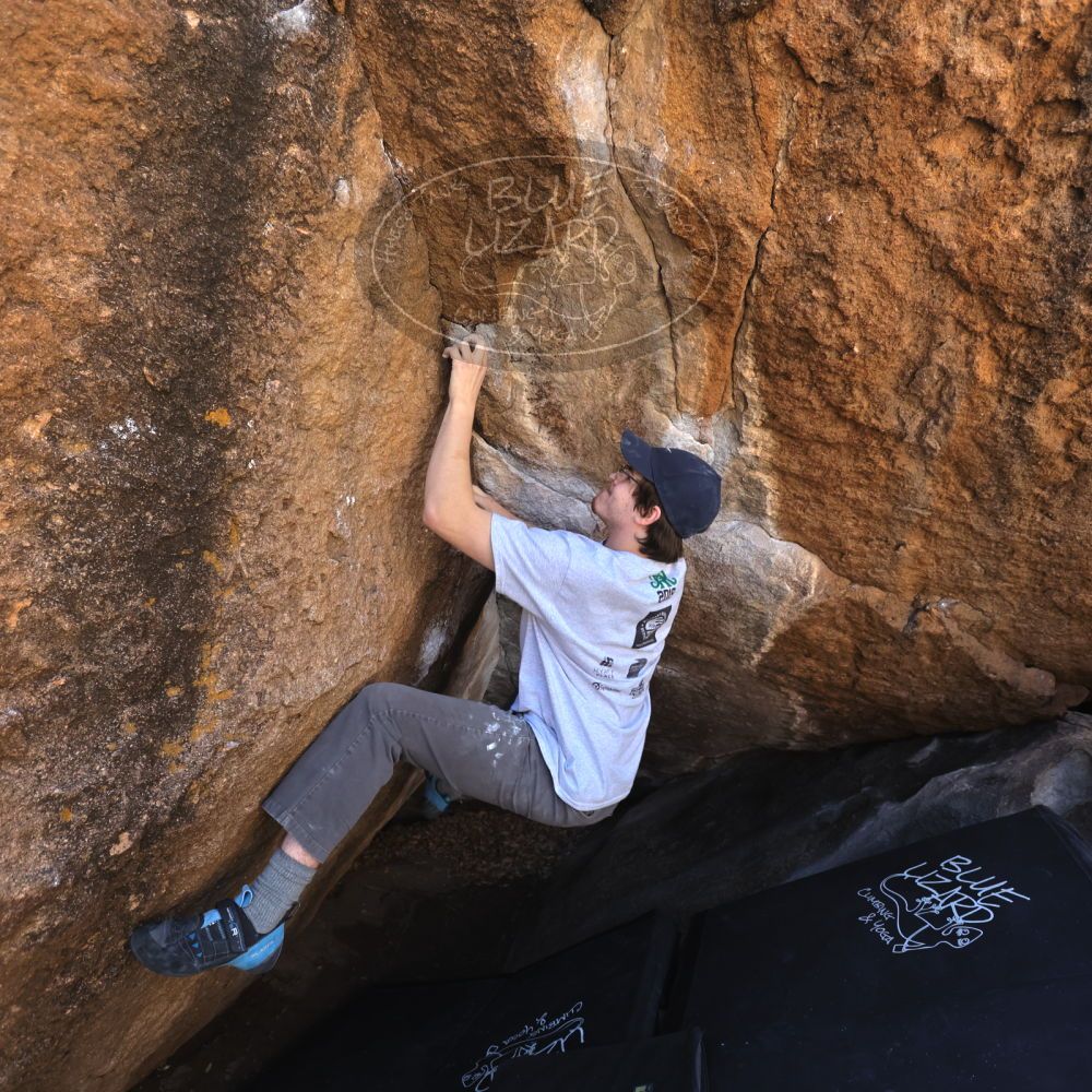 

Filename: SRM_20230224_1103250.jpg
Aperture: f/4.0
Shutter Speed: 1/250
Body: Canon EOS R6
Lens: Canon EF 16-35mm f/2.8 L