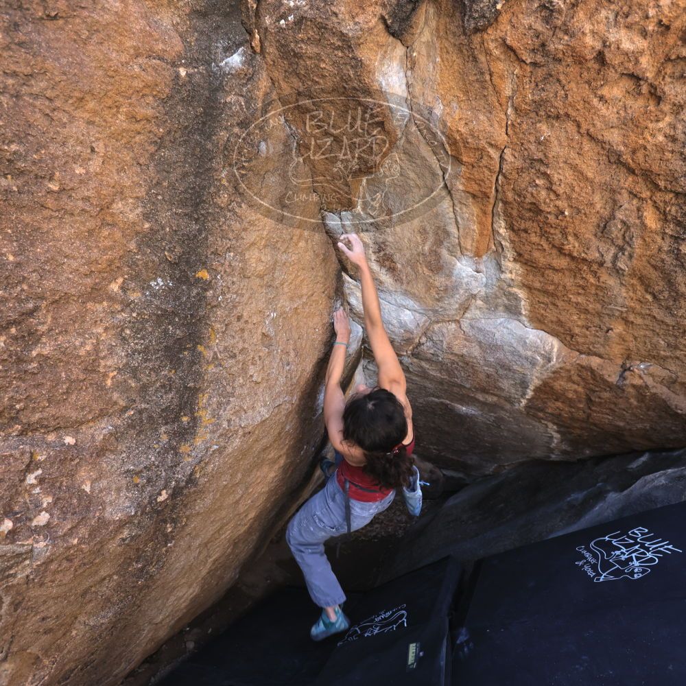 

Filename: SRM_20230224_1105280.jpg
Aperture: f/4.0
Shutter Speed: 1/250
Body: Canon EOS R6
Lens: Canon EF 16-35mm f/2.8 L