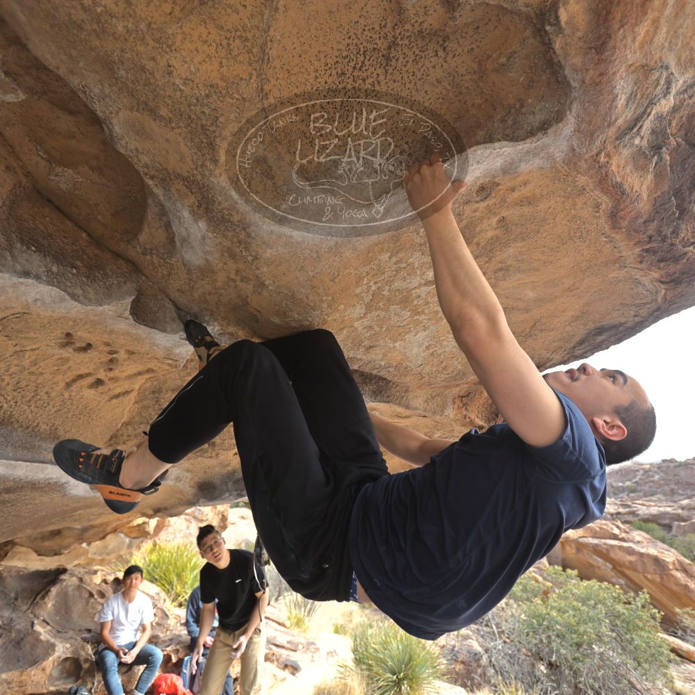 

Filename: SRM_20230224_1212020.jpg
Aperture: f/4.0
Shutter Speed: 1/400
Body: Canon EOS R6
Lens: Canon EF 16-35mm f/2.8 L