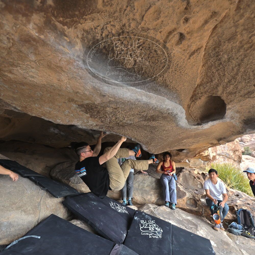 

Filename: SRM_20230224_1216220.jpg
Aperture: f/4.0
Shutter Speed: 1/400
Body: Canon EOS R6
Lens: Canon EF 16-35mm f/2.8 L