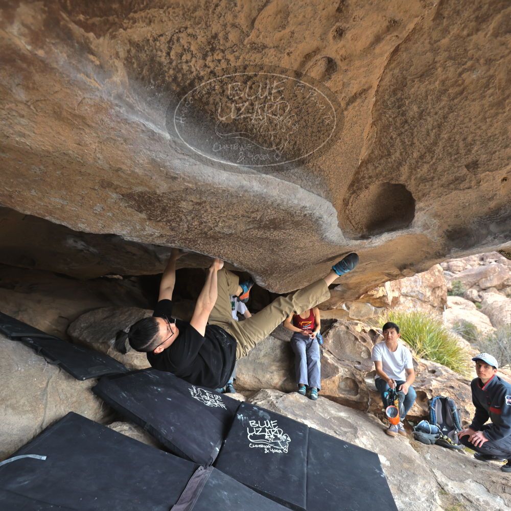 

Filename: SRM_20230224_1216240.jpg
Aperture: f/4.0
Shutter Speed: 1/400
Body: Canon EOS R6
Lens: Canon EF 16-35mm f/2.8 L