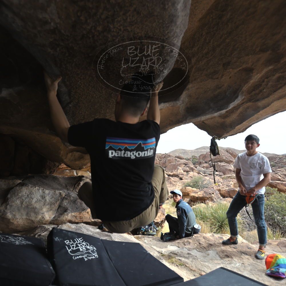 

Filename: SRM_20230224_1221472.jpg
Aperture: f/4.0
Shutter Speed: 1/400
Body: Canon EOS R6
Lens: Canon EF 16-35mm f/2.8 L