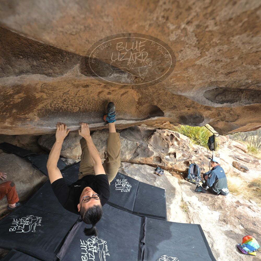 

Filename: SRM_20230224_1222020.jpg
Aperture: f/4.0
Shutter Speed: 1/400
Body: Canon EOS R6
Lens: Canon EF 16-35mm f/2.8 L