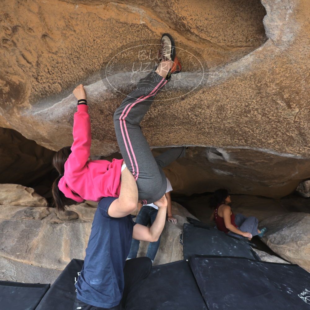 

Filename: SRM_20230224_1234060.jpg
Aperture: f/4.0
Shutter Speed: 1/400
Body: Canon EOS R6
Lens: Canon EF 16-35mm f/2.8 L