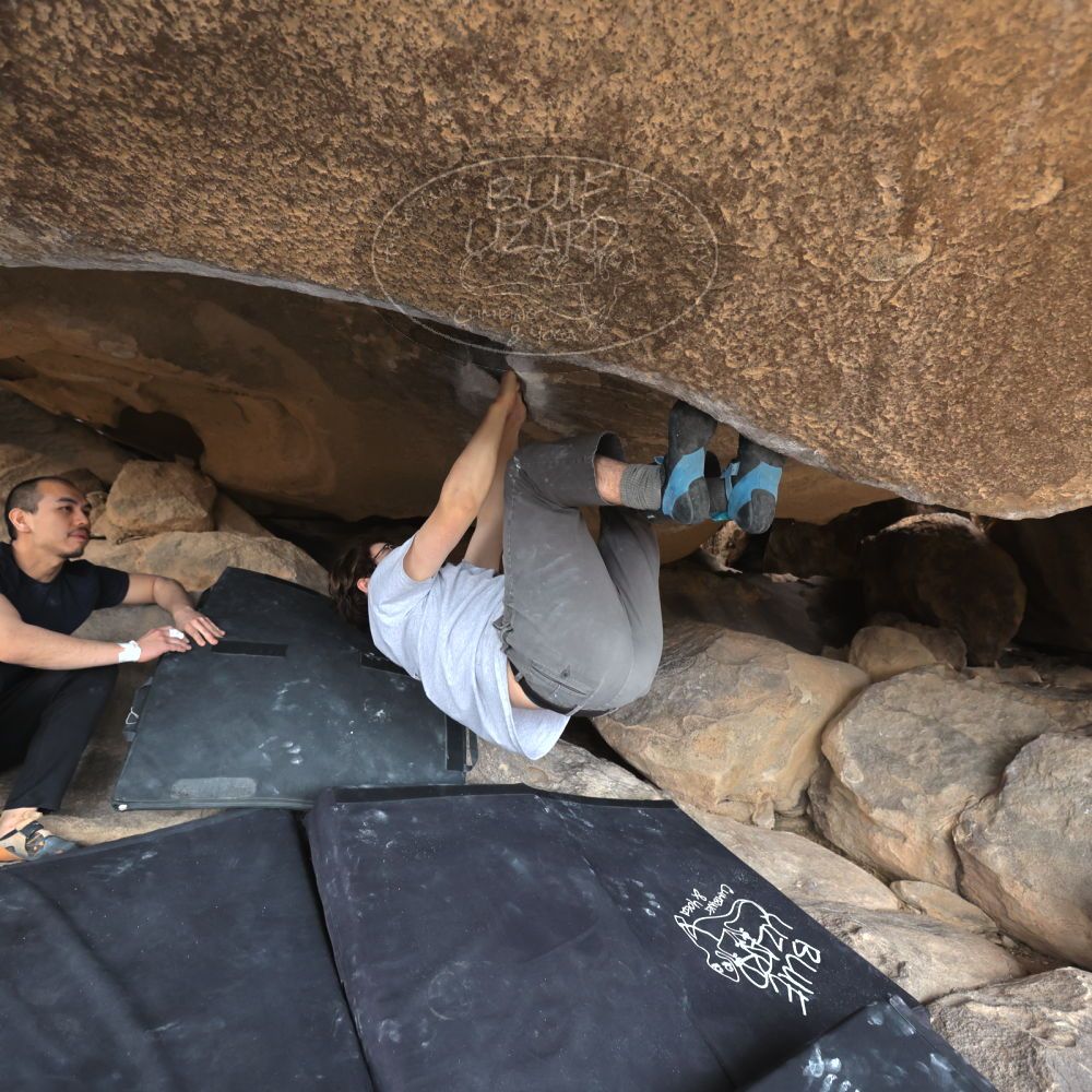 

Filename: SRM_20230224_1238240.jpg
Aperture: f/4.0
Shutter Speed: 1/400
Body: Canon EOS R6
Lens: Canon EF 16-35mm f/2.8 L