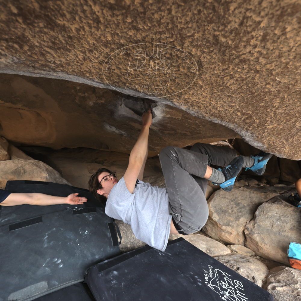 

Filename: SRM_20230224_1238280.jpg
Aperture: f/4.0
Shutter Speed: 1/400
Body: Canon EOS R6
Lens: Canon EF 16-35mm f/2.8 L