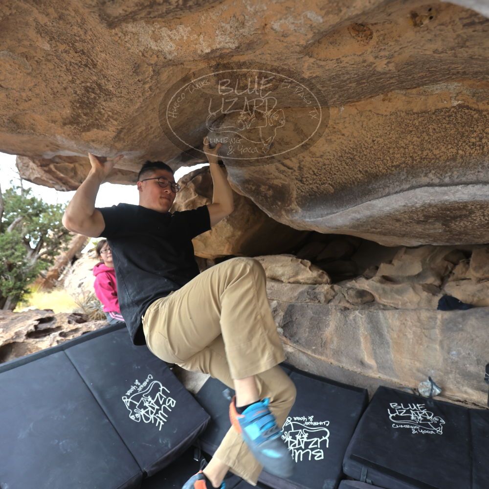 

Filename: SRM_20230224_1238550.jpg
Aperture: f/4.0
Shutter Speed: 1/400
Body: Canon EOS R6
Lens: Canon EF 16-35mm f/2.8 L