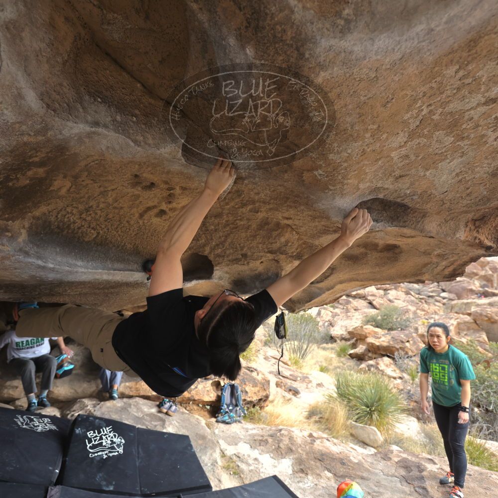 

Filename: SRM_20230224_1249550.jpg
Aperture: f/4.0
Shutter Speed: 1/250
Body: Canon EOS R6
Lens: Canon EF 16-35mm f/2.8 L