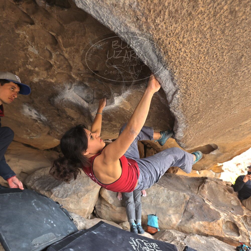 

Filename: SRM_20230224_1253170.jpg
Aperture: f/4.0
Shutter Speed: 1/250
Body: Canon EOS R6
Lens: Canon EF 16-35mm f/2.8 L