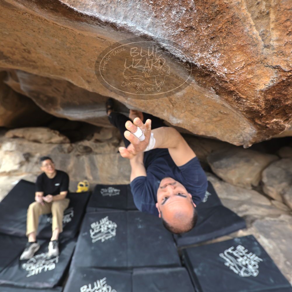 

Filename: SRM_20230224_1342170.jpg
Aperture: f/4.0
Shutter Speed: 1/250
Body: Canon EOS R6
Lens: Canon EF 16-35mm f/2.8 L