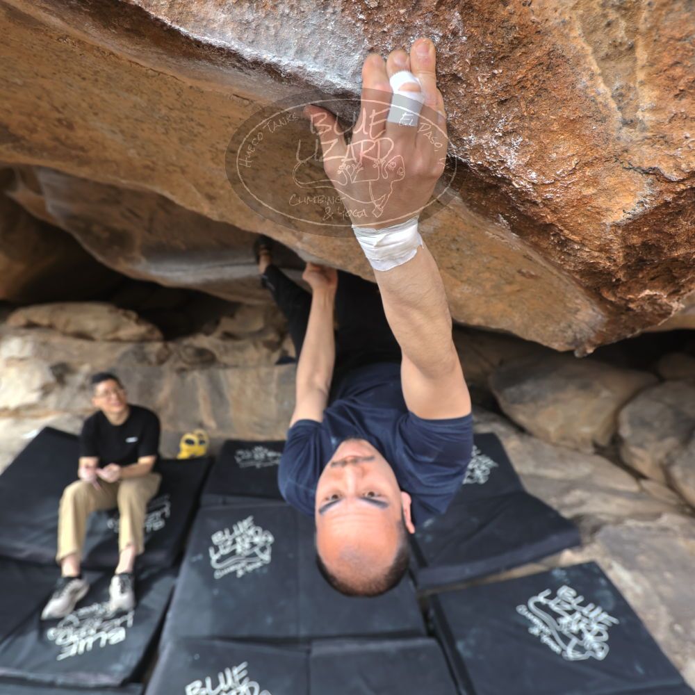 

Filename: SRM_20230224_1342181.jpg
Aperture: f/4.0
Shutter Speed: 1/250
Body: Canon EOS R6
Lens: Canon EF 16-35mm f/2.8 L