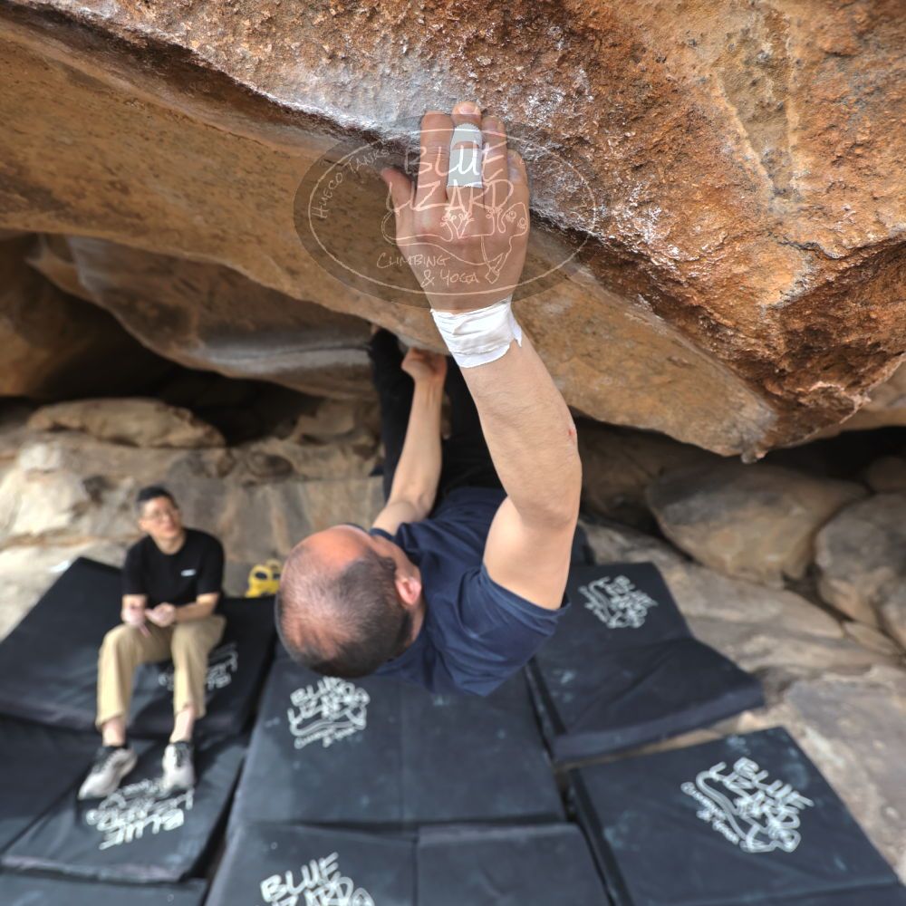 

Filename: SRM_20230224_1342182.jpg
Aperture: f/4.0
Shutter Speed: 1/250
Body: Canon EOS R6
Lens: Canon EF 16-35mm f/2.8 L