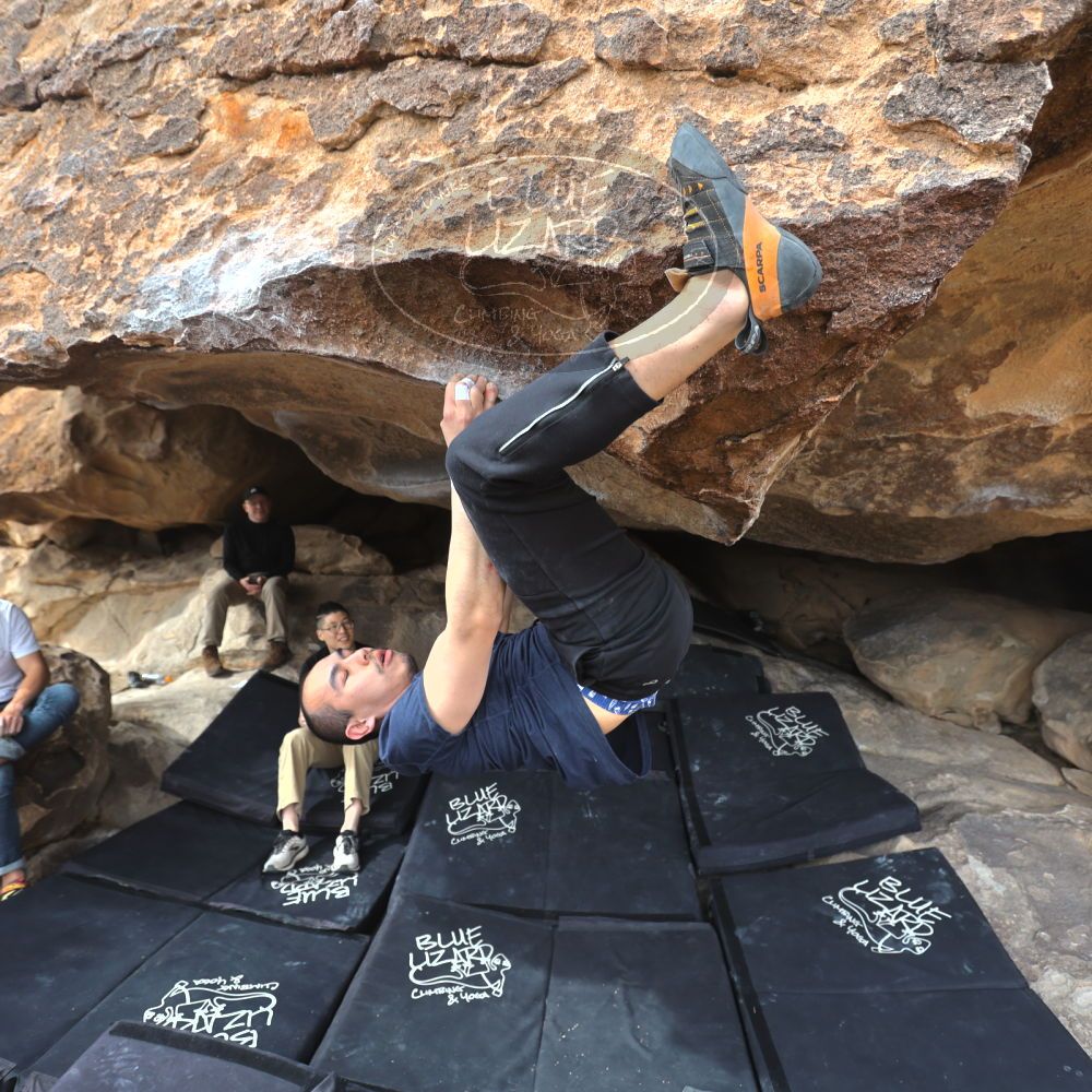 

Filename: SRM_20230224_1342360.jpg
Aperture: f/4.0
Shutter Speed: 1/250
Body: Canon EOS R6
Lens: Canon EF 16-35mm f/2.8 L