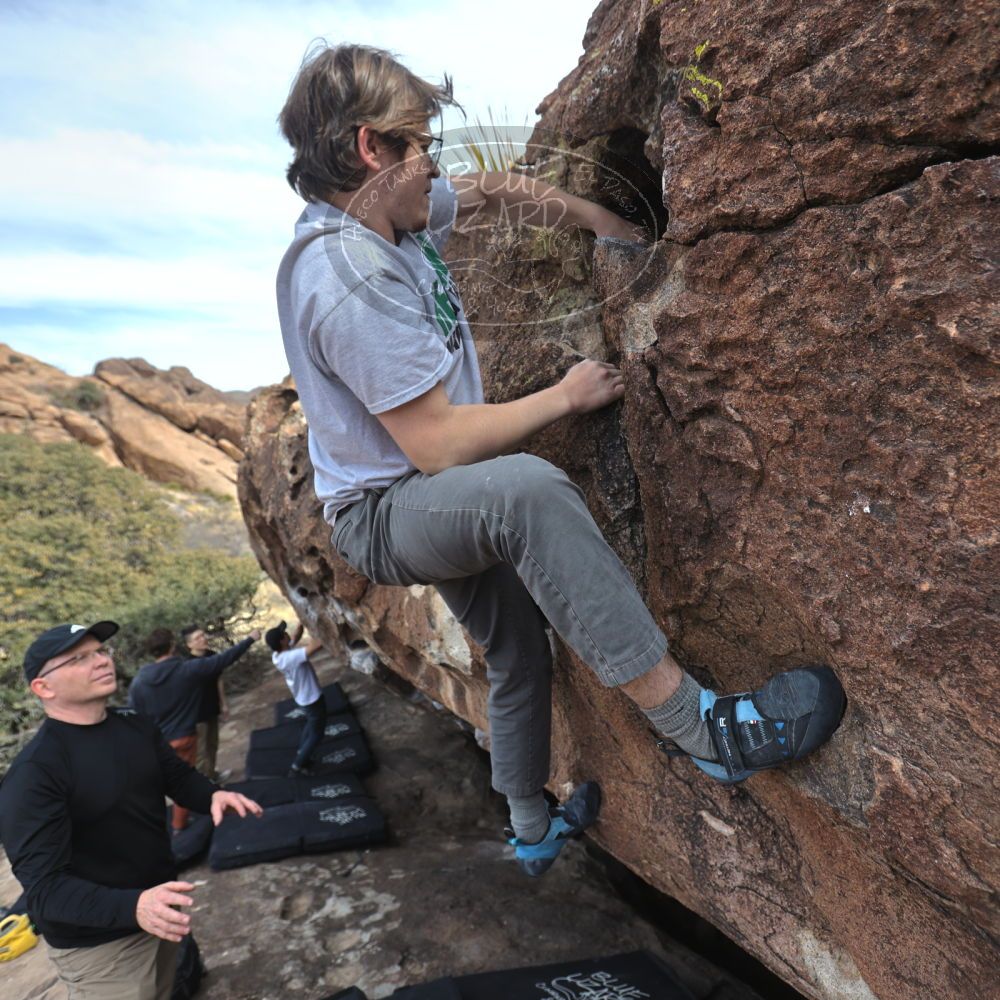 

Filename: SRM_20230224_1421070.jpg
Aperture: f/4.0
Shutter Speed: 1/250
Body: Canon EOS R6
Lens: Canon EF 16-35mm f/2.8 L