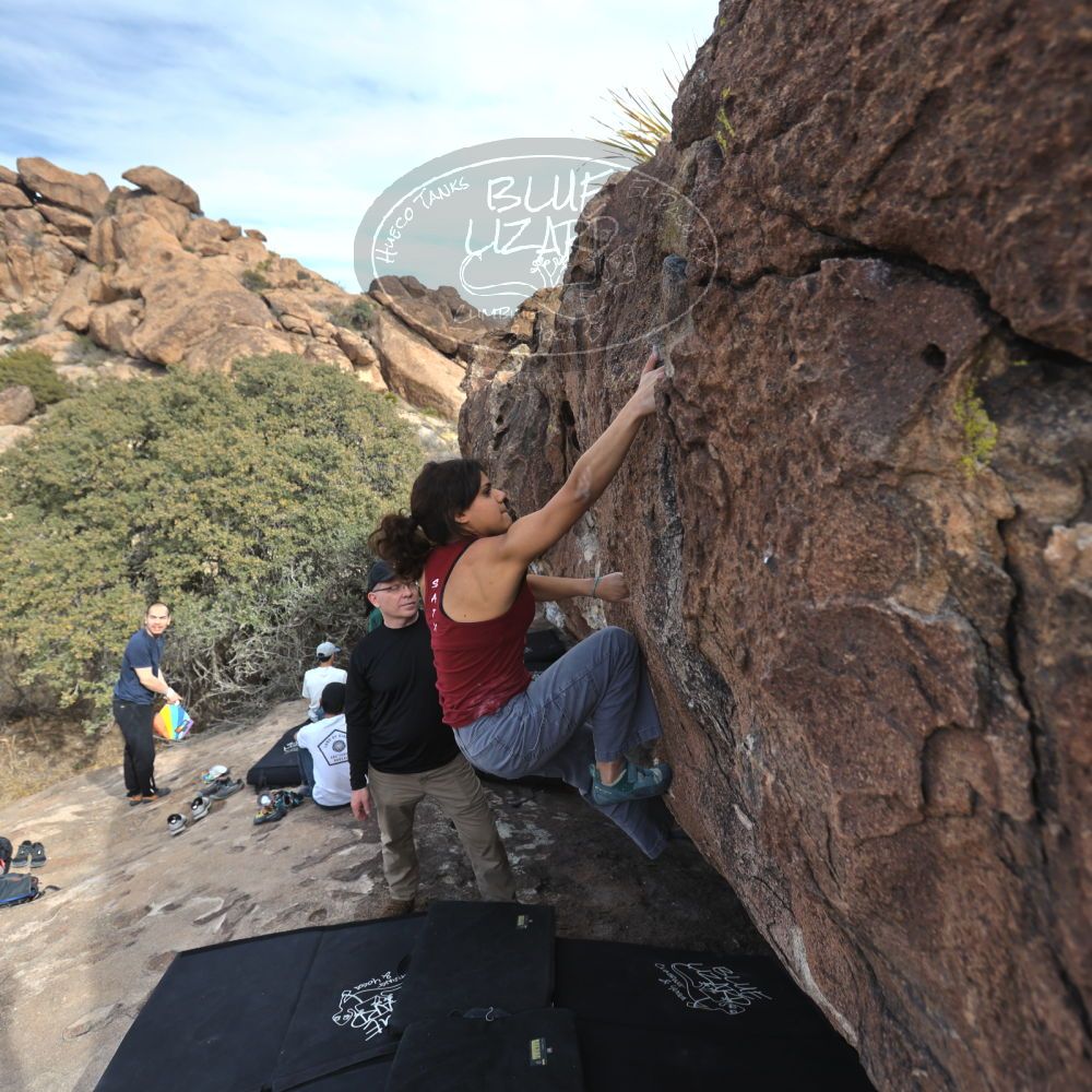 

Filename: SRM_20230224_1427120.jpg
Aperture: f/4.0
Shutter Speed: 1/250
Body: Canon EOS R6
Lens: Canon EF 16-35mm f/2.8 L