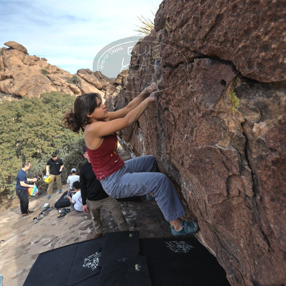 

Filename: SRM_20230224_1427160.jpg
Aperture: f/4.0
Shutter Speed: 1/250
Body: Canon EOS R6
Lens: Canon EF 16-35mm f/2.8 L