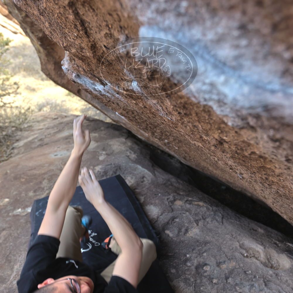 

Filename: SRM_20230224_1437431.jpg
Aperture: f/4.0
Shutter Speed: 1/250
Body: Canon EOS R6
Lens: Canon EF 16-35mm f/2.8 L