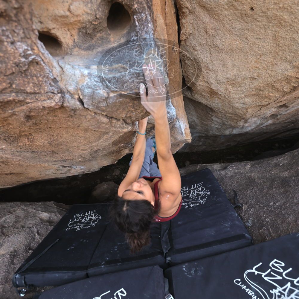 

Filename: SRM_20230224_1448561.jpg
Aperture: f/4.0
Shutter Speed: 1/320
Body: Canon EOS R6
Lens: Canon EF 16-35mm f/2.8 L