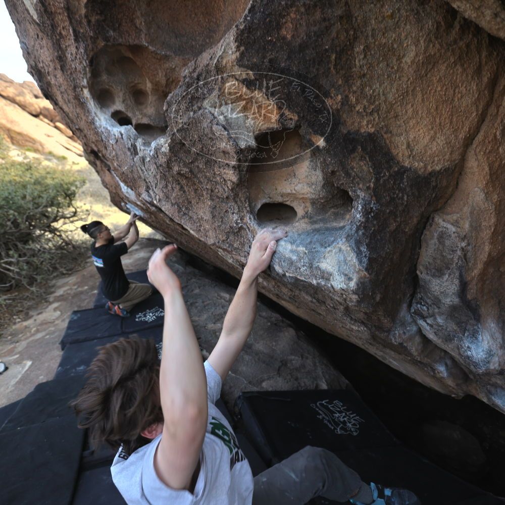 

Filename: SRM_20230224_1510201.jpg
Aperture: f/4.0
Shutter Speed: 1/320
Body: Canon EOS R6
Lens: Canon EF 16-35mm f/2.8 L