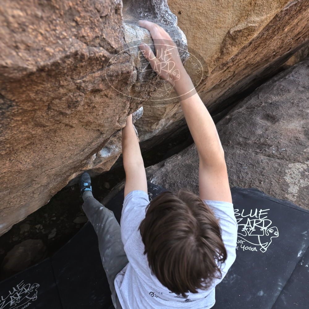 

Filename: SRM_20230224_1518531.jpg
Aperture: f/5.0
Shutter Speed: 1/320
Body: Canon EOS R6
Lens: Canon EF 16-35mm f/2.8 L