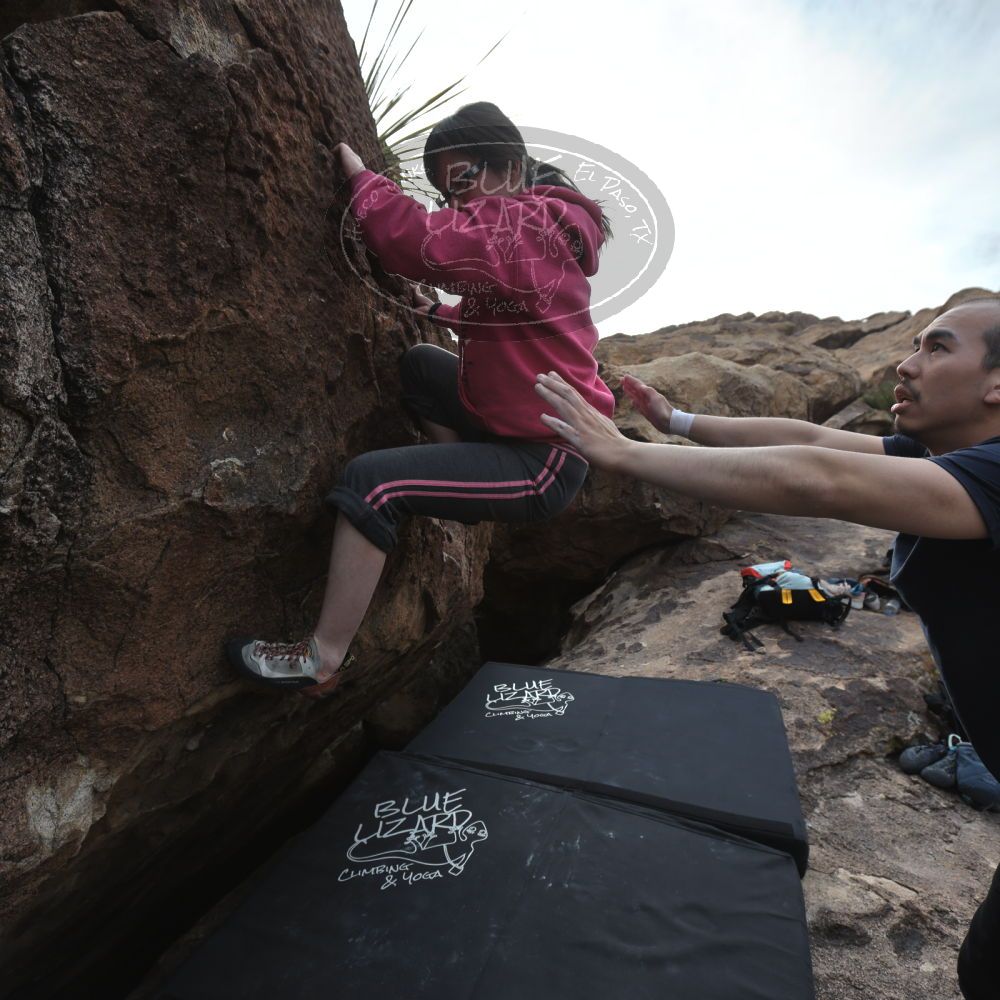 

Filename: SRM_20230224_1537070.jpg
Aperture: f/5.0
Shutter Speed: 1/320
Body: Canon EOS R6
Lens: Canon EF 16-35mm f/2.8 L