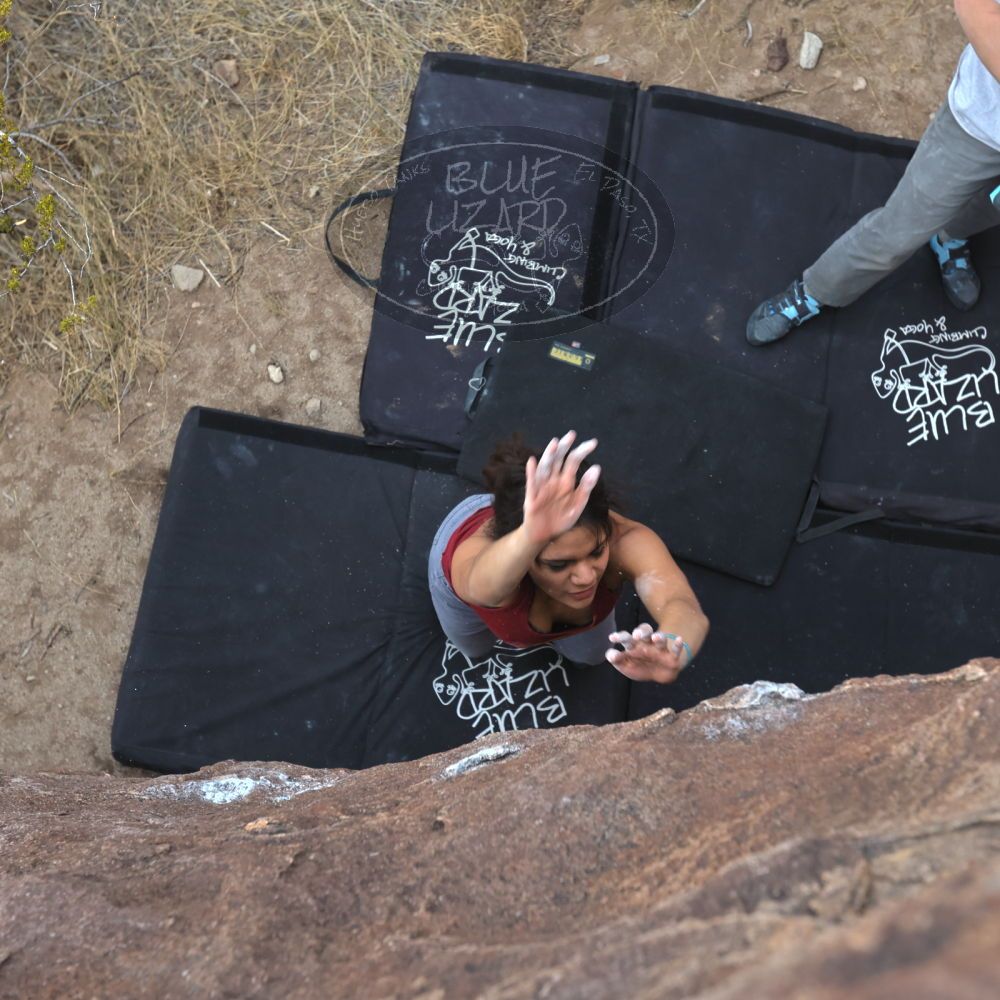 

Filename: SRM_20230224_1616330.jpg
Aperture: f/5.0
Shutter Speed: 1/320
Body: Canon EOS R6
Lens: Canon EF 16-35mm f/2.8 L