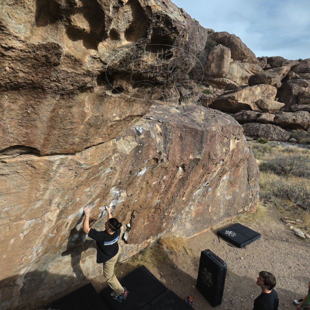 

Filename: SRM_20230224_1619171.jpg
Aperture: f/5.6
Shutter Speed: 1/320
Body: Canon EOS R6
Lens: Canon EF 16-35mm f/2.8 L