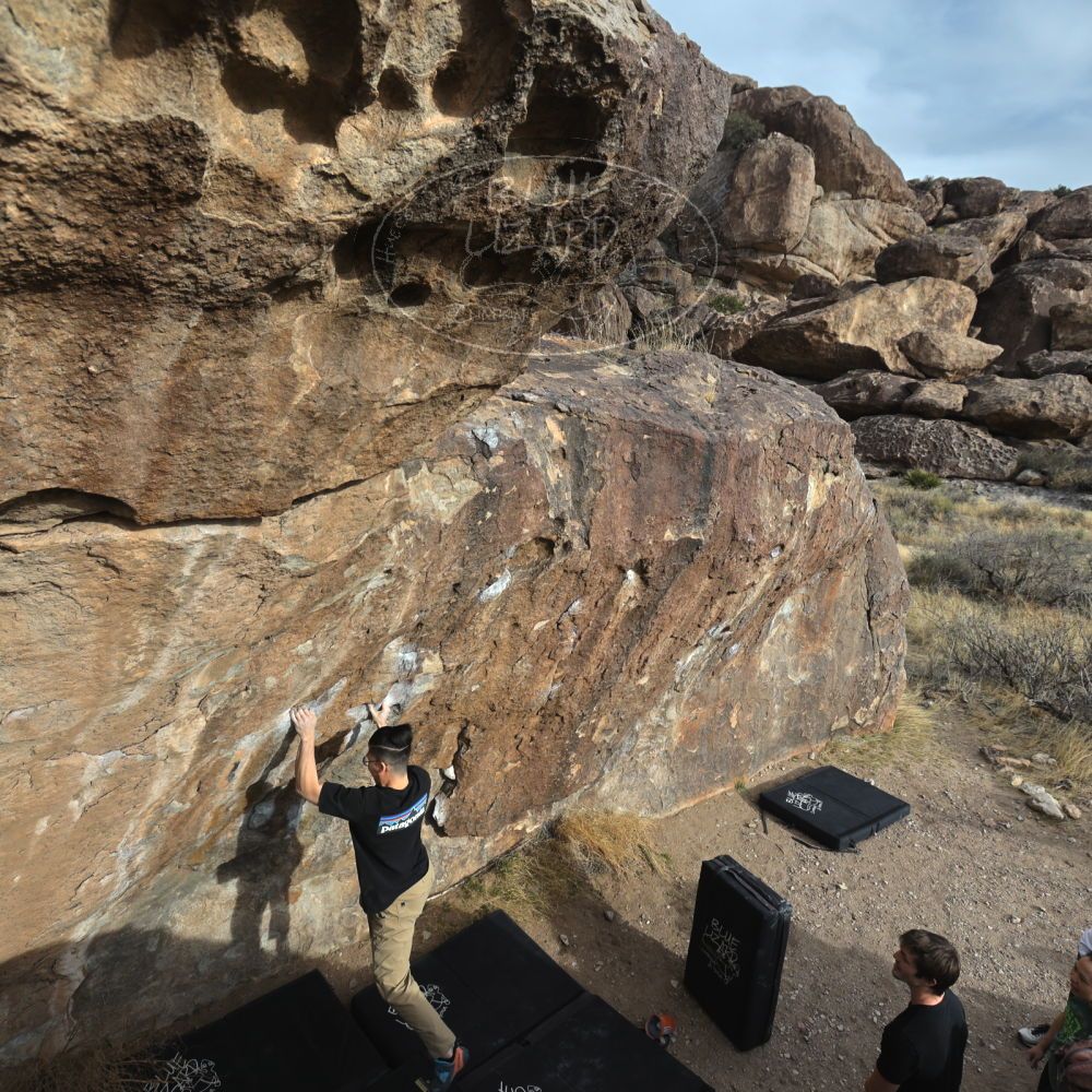 

Filename: SRM_20230224_1619173.jpg
Aperture: f/5.6
Shutter Speed: 1/320
Body: Canon EOS R6
Lens: Canon EF 16-35mm f/2.8 L