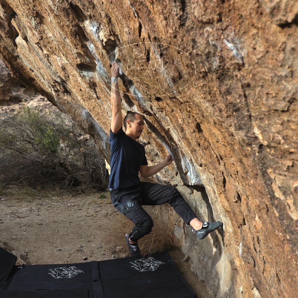 

Filename: SRM_20230224_1625120.jpg
Aperture: f/5.6
Shutter Speed: 1/320
Body: Canon EOS R6
Lens: Canon EF 16-35mm f/2.8 L