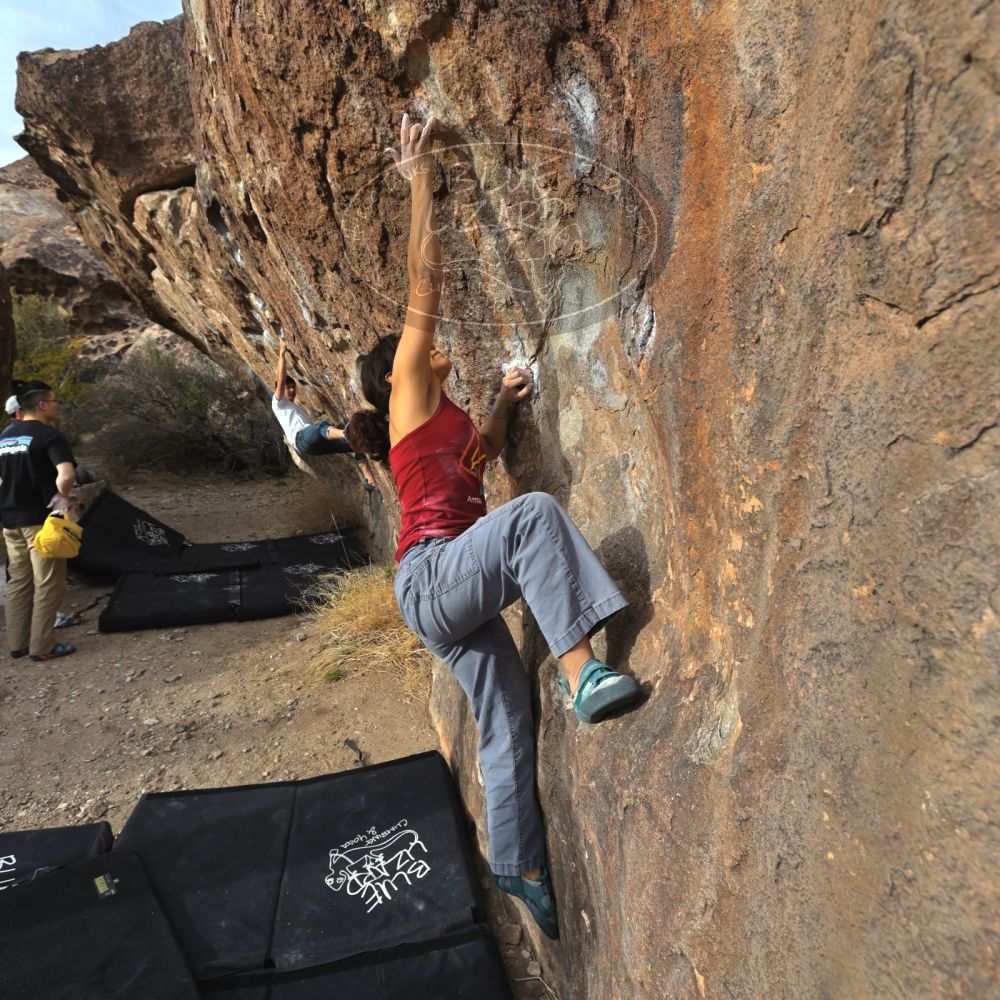 

Filename: SRM_20230224_1627210.jpg
Aperture: f/5.6
Shutter Speed: 1/320
Body: Canon EOS R6
Lens: Canon EF 16-35mm f/2.8 L