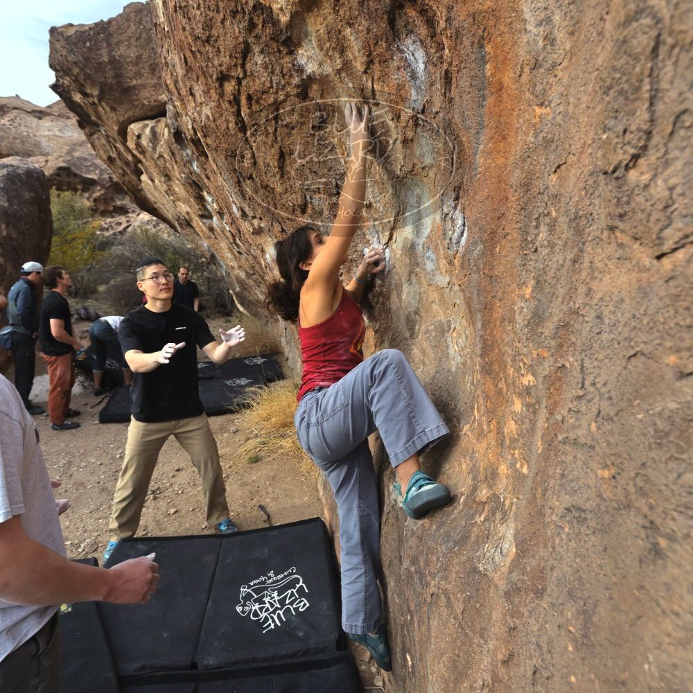 

Filename: SRM_20230224_1630270.jpg
Aperture: f/5.6
Shutter Speed: 1/320
Body: Canon EOS R6
Lens: Canon EF 16-35mm f/2.8 L