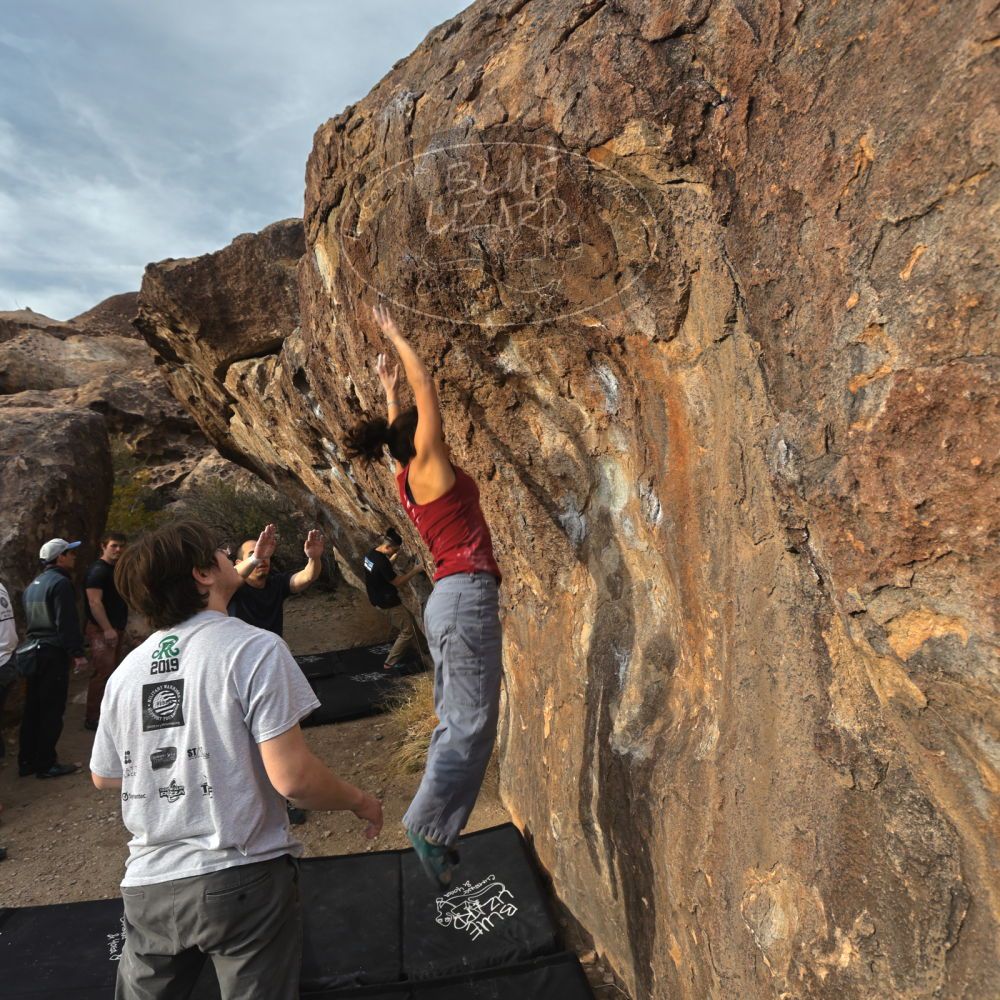 

Filename: SRM_20230224_1648190.jpg
Aperture: f/5.6
Shutter Speed: 1/320
Body: Canon EOS R6
Lens: Canon EF 16-35mm f/2.8 L