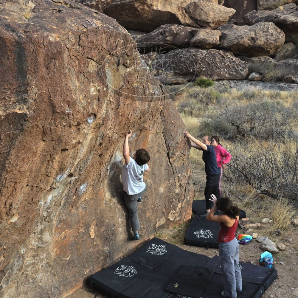 

Filename: SRM_20230224_1651321.jpg
Aperture: f/5.6
Shutter Speed: 1/320
Body: Canon EOS R6
Lens: Canon EF 16-35mm f/2.8 L