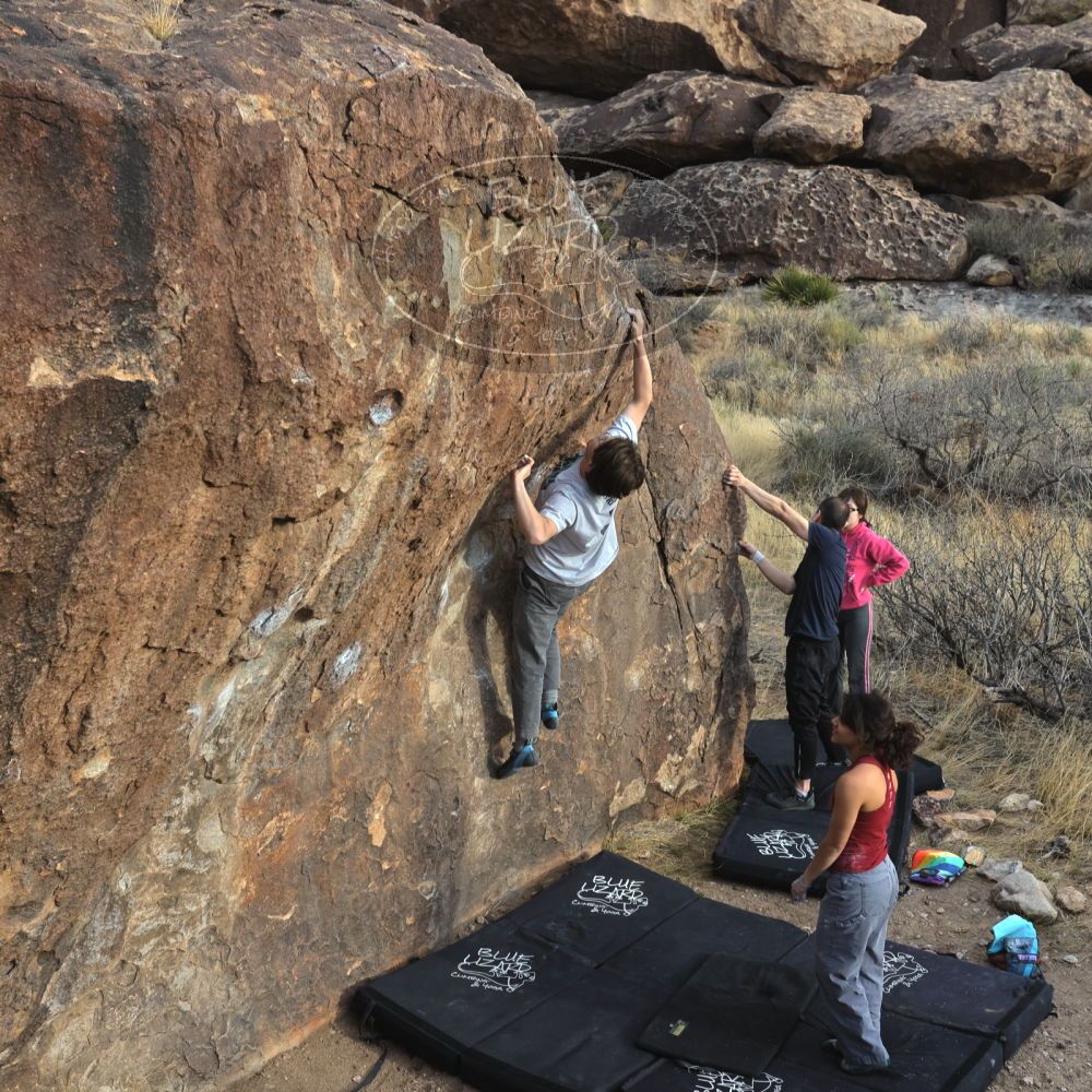 

Filename: SRM_20230224_1651350.jpg
Aperture: f/5.6
Shutter Speed: 1/320
Body: Canon EOS R6
Lens: Canon EF 16-35mm f/2.8 L