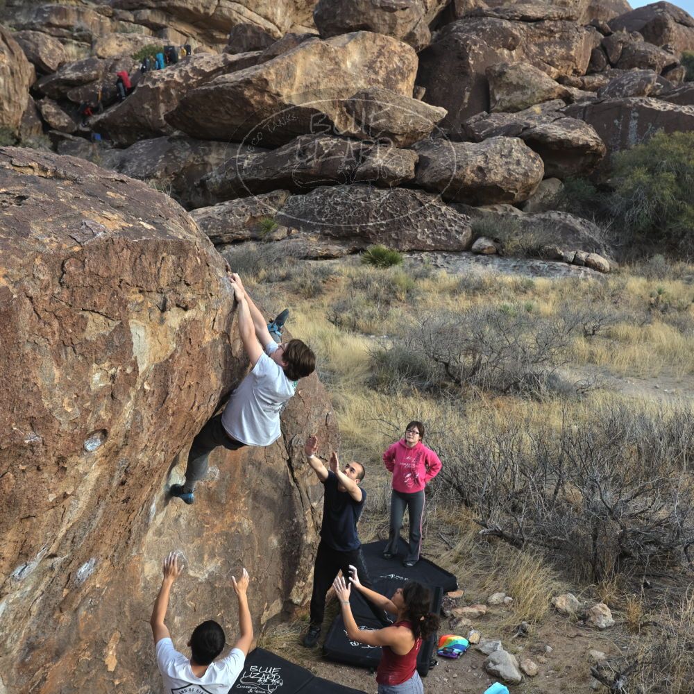 

Filename: SRM_20230224_1651480.jpg
Aperture: f/5.6
Shutter Speed: 1/320
Body: Canon EOS R6
Lens: Canon EF 16-35mm f/2.8 L